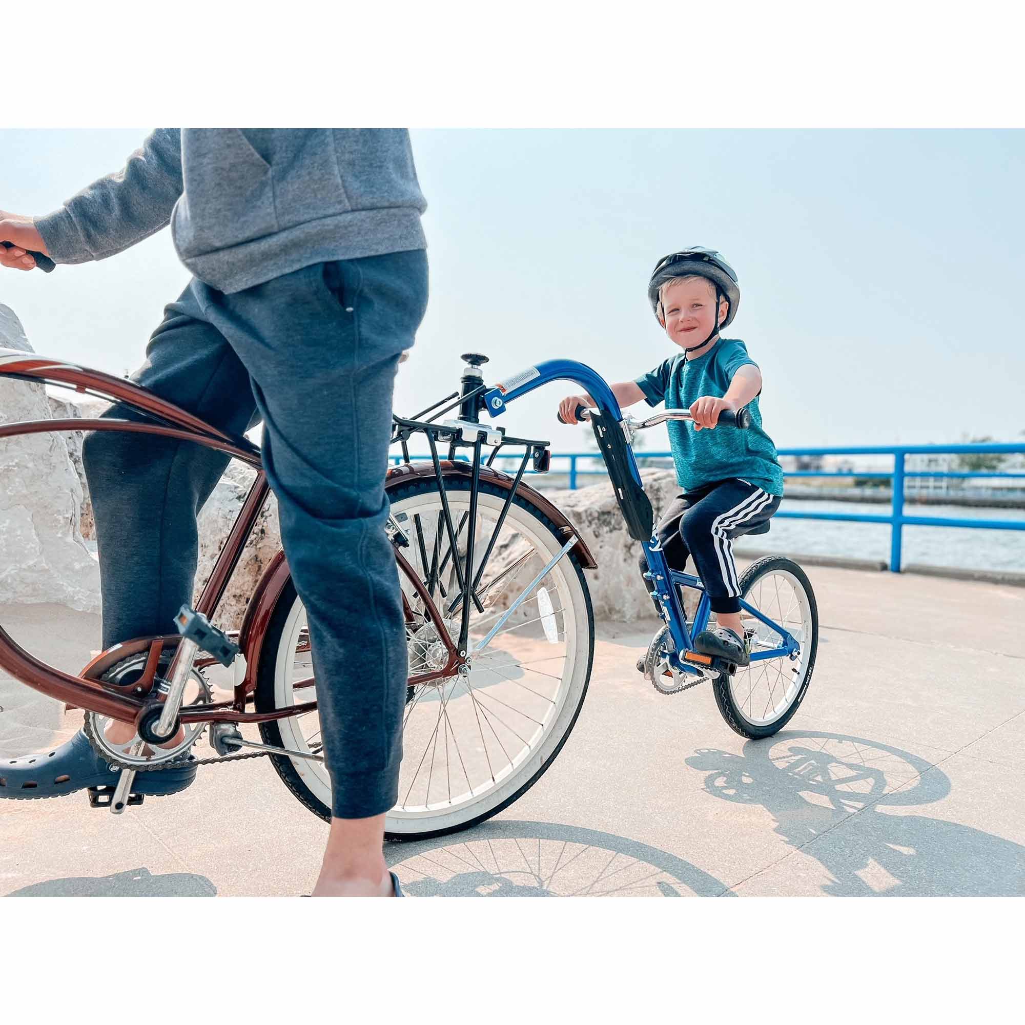 Burley kazoo trailer store bike