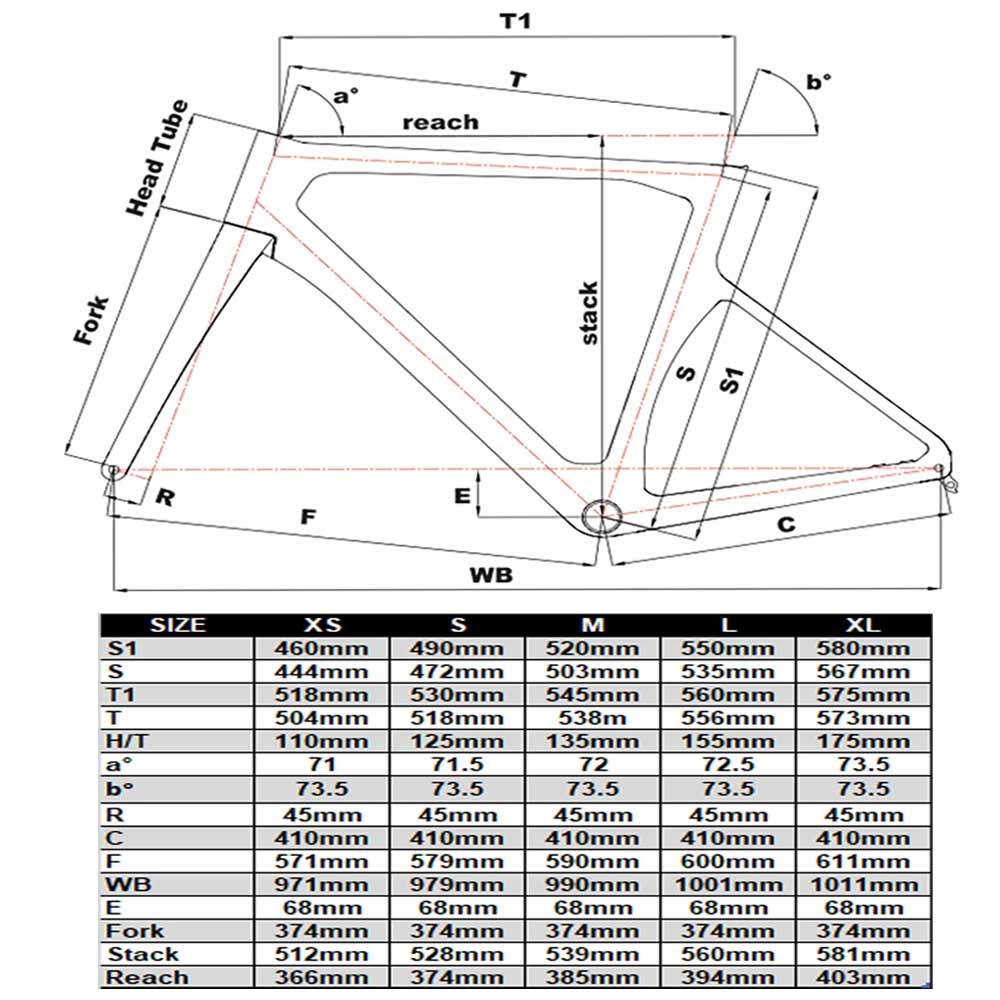 Cinelli experience size chart sale