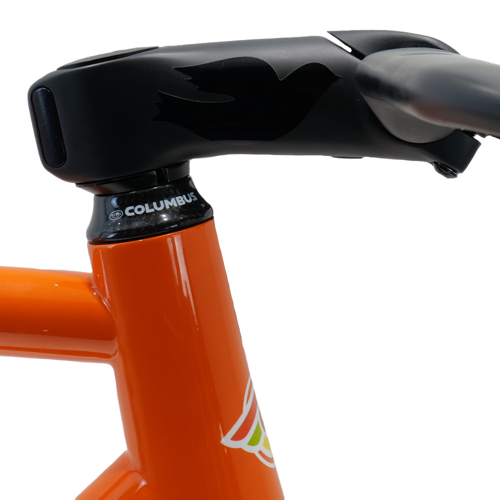 Nemo Tig Integrated Road Disc Frameset | Chicken Cyclekit