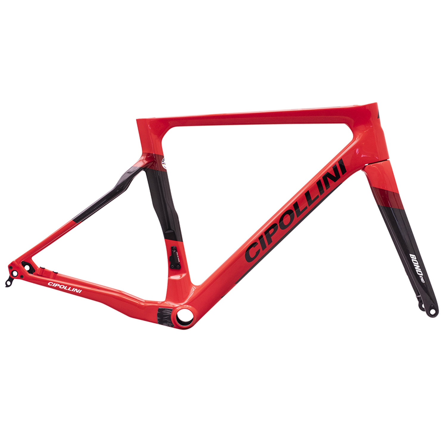 Cipollini hot sale bond frameset